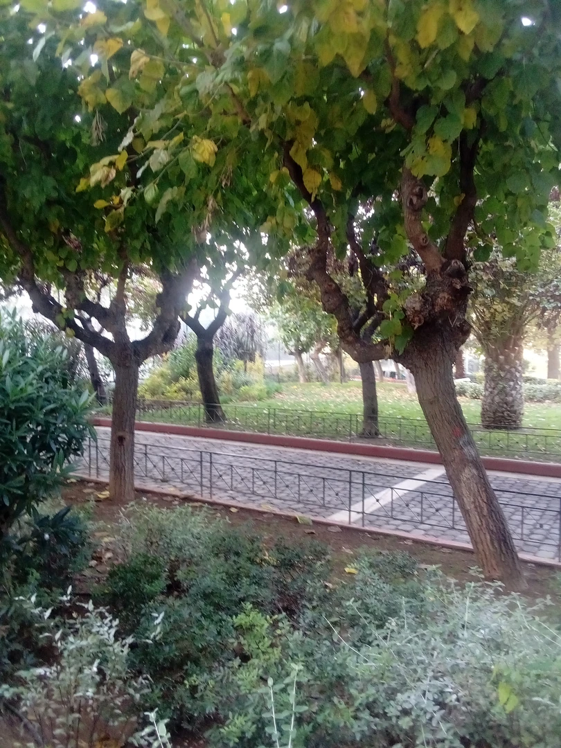 Πράσινο πάρκο στην Αθήνα